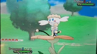 Miniature : Flabebe chromatique sur pokemon X!