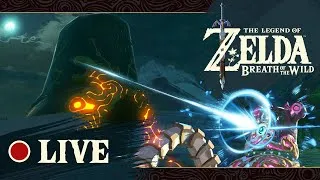 Miniature : LIVE - The Legend of Zelda: Breath of the Wild | Le glitch de la richesse