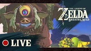 Miniature : LIVE - The Legend of Zelda: Breath of the Wild | L' épreuve Koh-Lanta