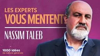 Miniature : NASSIM TALEB - Le Skin in the Game