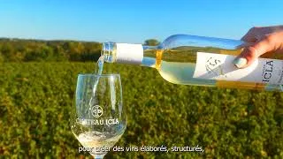 Miniature : Domaine du Château Icla#événementiel #salles #reception #mariage #wedding #anniversaire #baptême