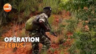 Miniature : Dix jours avec les rangers de Madagascar