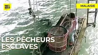 Miniature : Un an sans terre ferme : la terrible vie des pêcheurs du détroit de Malacca