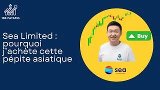 Miniature : Sea Limited : pourquoi j’achète cette pépite asiatique