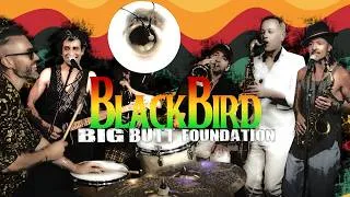 Miniature : BlackBird (The BEATLES Cover)