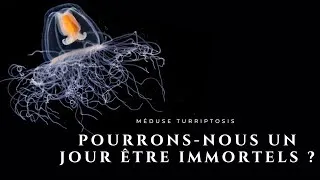 Miniature : Peut-on vivre plus longtemps ? (en 5 minutes)