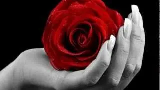 Miniature : Je viens t'offrir une rose - Paul Severs.wmv