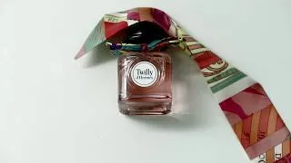 Miniature : Hermes Twilly