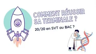 Miniature : 20/20 au bac de SVT ? Ma méthode et ma copie rédigée !