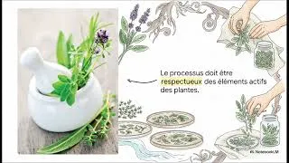 Miniature : Les plantes pour tout guérir - Marie D'Hennezel - Présentation et résumé