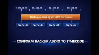 Miniature : Conform Backup Audio to Timecode: Trim, Extract, and Replace Bad Tracks - Wave Copilot