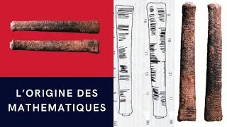 Miniature : L' os d' Ishango: l'origine des mathématiques