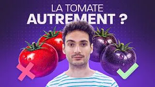Miniature : À quoi ressemblera la tomate du futur ? 🍅 I Salade, climat, oignons #agriculturedurable