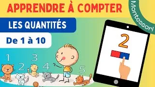Miniature : 🧮 Apprendre à compter | Les quantités de 1 à 10  | Montessori