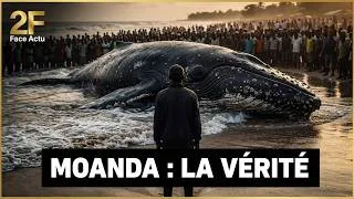 Miniature : La baleine de Muanda n'était pas un accident — voici la vérité cachée