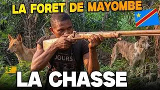 Miniature : Papa Pélé : l'homme qui chasse seul avec ses trois chiens dans la foret du mayombe