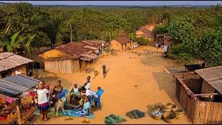 Miniature : 800 km de Kinshasa Ces chiens avaient peur de manger dans une assiette mais quand on a...