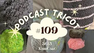 Miniature : Podcast créatif 109: un top en 3 jours et un pull en 15h!