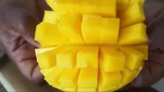 Miniature : Mango fruit | Mangue fruit | 365 Recipe Cooking