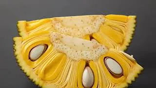 Miniature : Jackfruit | Jacquier | Quả mít