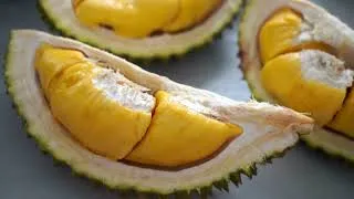 Miniature : Durian | Durian fruit | Sầu riêng