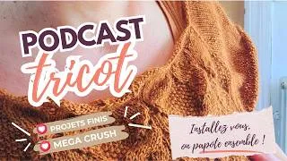 Miniature : 🧶BILAN TRICOT: Projets finis + GROS CRUSH 😍 #tricot #knitting #podcasttricot