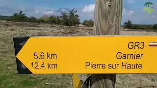 Miniature : La grande Pierre Bazanne