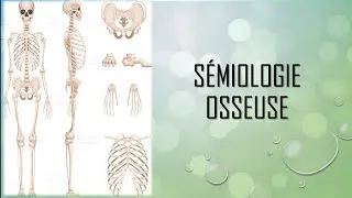 Miniature : Sémiologie traumatologique : Sémiologie osseuse