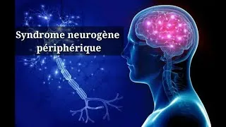 Miniature : Sémiologie neurologique-6ème cours:Syndrome neurogène périphérique (Polynévrite Polyradiculonévrite)