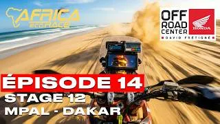 Miniature : ÉPISODE 14 - AER 2026 - MPAL / DAKAR