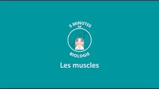 Miniature : 5 MINUTES DE BIOLOGIE - Les muscles