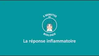 Miniature : 5 MINUTES DE BIOLOGIE - La réponse inflammatoire