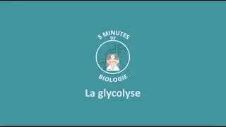 Miniature : 5 MINUTES DE BIOLOGIE - La glycolyse