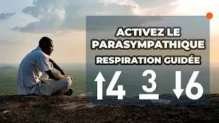 Miniature : 🧠 Activer Son Parasympathique : 10 Min de Respiration 4-3-6 (Nerf Vague & Calme)