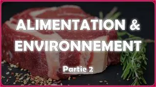 Miniature : Élevage intensif : quels impacts sur notre environnement ?