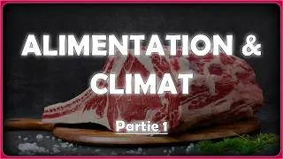 Miniature : Le problème avec la viande... (gaz à effet de serre et réchauffement climatique)