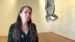 Miniature : Musée de Rochechouart : l'art contemporain au grand air