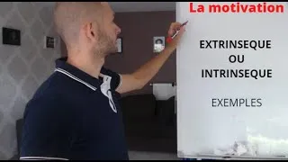 Miniature : Source de motivation INTRINSEQUE ET EXTRINSEQUE exemples