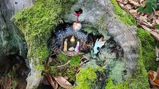 Miniature : Gênes et le parc de Porto Fino 2025 - xiaomi 14 ultra