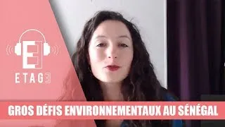 Miniature : [Podcast] Transition écologique difficile pour le Sénégal
