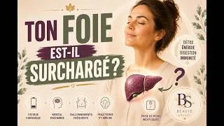 Miniature : Les trois principales fonctions du foie