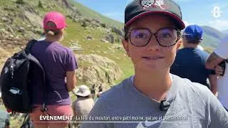 Miniature : À Saint Sorlin d'Arves, la fête du mouton, entre patrimoine, nature et transmission
