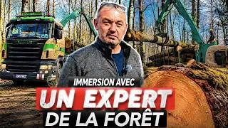 Miniature : IL TRANSPORTE DES TONNES DE BOIS CHAQUE JOUR !