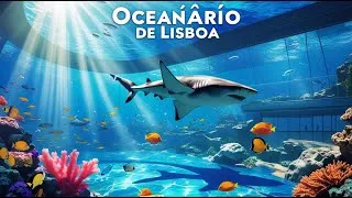 Miniature : Plongée Féérique à l’Oceanário de Lisbonne 🌊🐠  Un Monde Sous-Marin à Découvrir !
