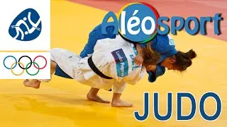 Miniature : Sport Olympique #4 - Le judo - Les règles