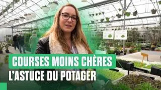 Miniature : Cultiver son propre potager : la solution pour économiser ?