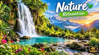 Miniature : Cascade Relaxante 💦 + Chants d’Oiseaux. Sons de la Nature pour Dormir, Méditer & Se Détendre | 4K**