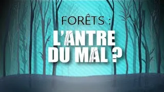 Miniature : QUE SE CACHE-T-IL RÉELLEMENT DANS LES FORÊTS ? Entre mythe, horreur et histoire