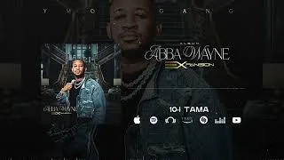 Miniature : Abba Wayne - I Tama (Son Officiel)