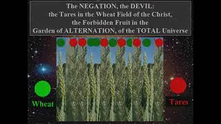 Miniature : TOTAL Universe, the New Paradigm, Truth 6 : the New Universe